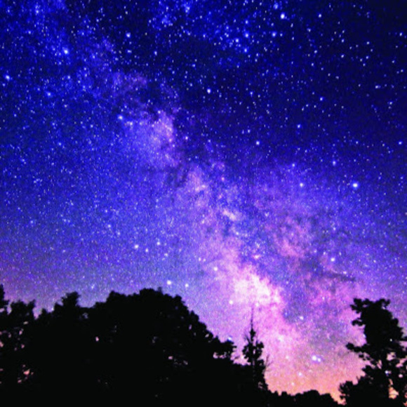 Meet your Posher, Ayesha - Picture 1 of 1